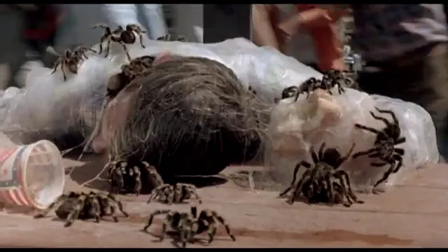 Kingdom of the Spiders Scene 2