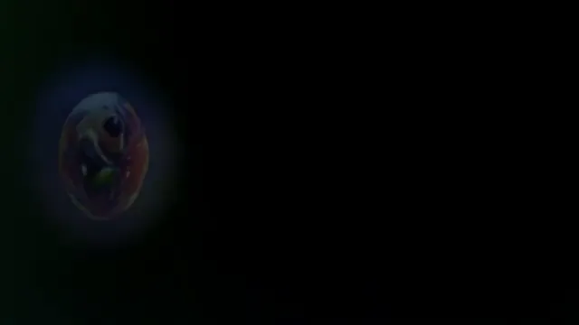 Prophecy Scene 1