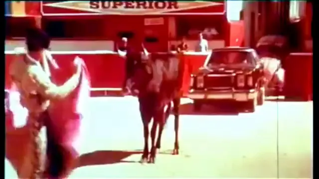 Herbie Goes Bananas Scene 4