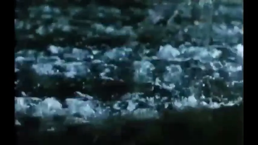 Piranha Part Two: The Spawning Scene 5