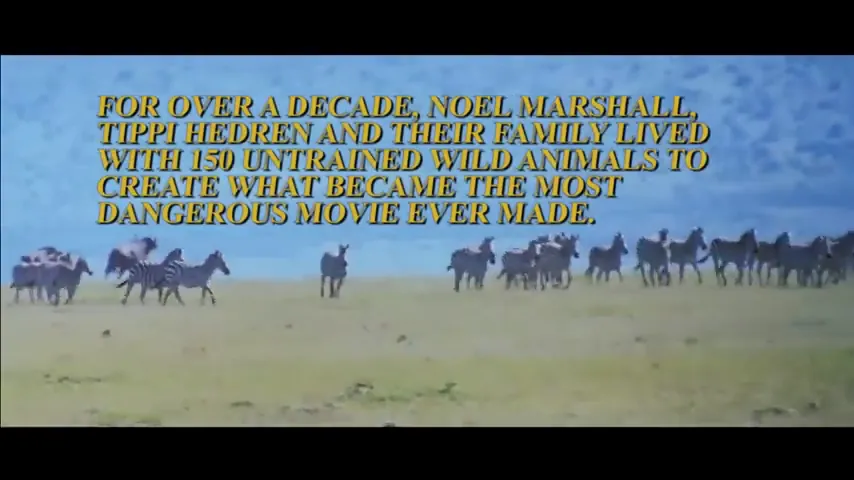 Roar Scene 1