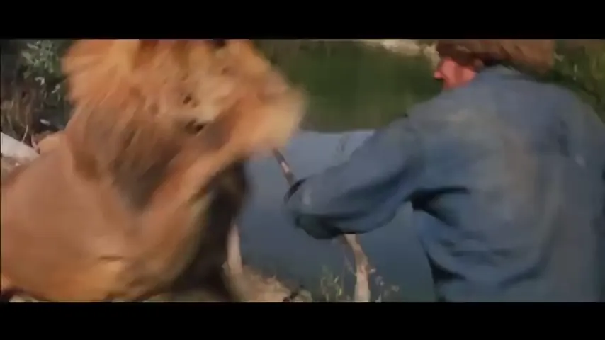 Roar Scene 4