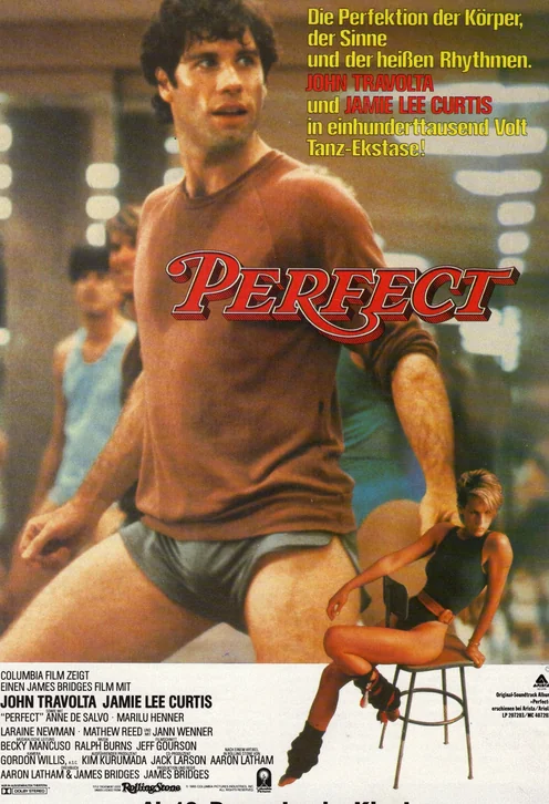 Perfect Movie Poster