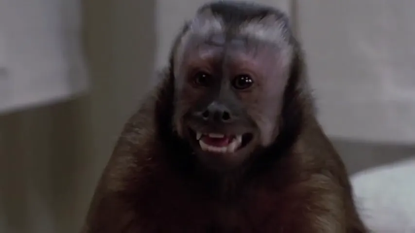Monkey Shines Scene 2