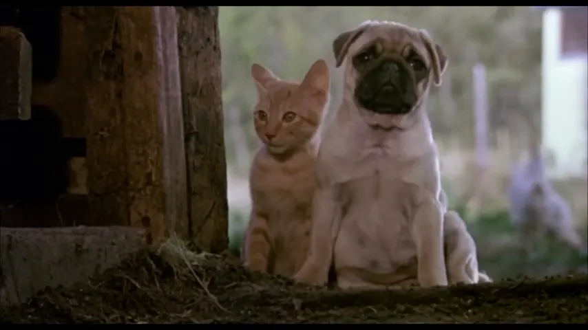 The Adventures of Milo and Otis Scene 2