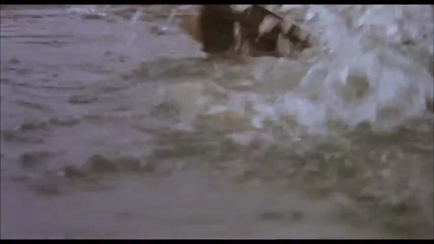 The Adventures of Milo and Otis Scene 3