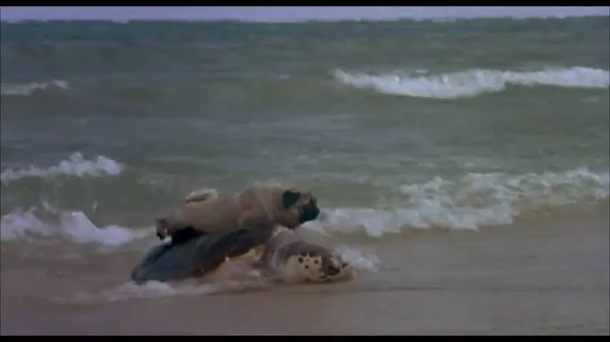 The Adventures of Milo and Otis Scene 5