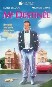 Mr. Destiny Movie Poster