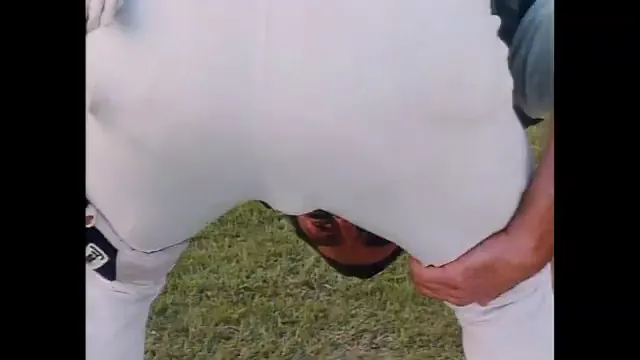Mr. Baseball Scene 3