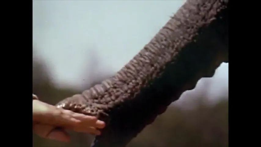 The Power of One Scene 1