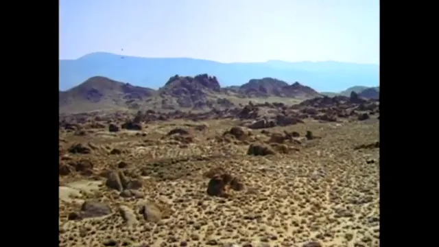 Joshua Tree Scene 1