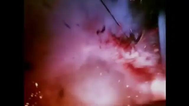 Ticks Scene 5