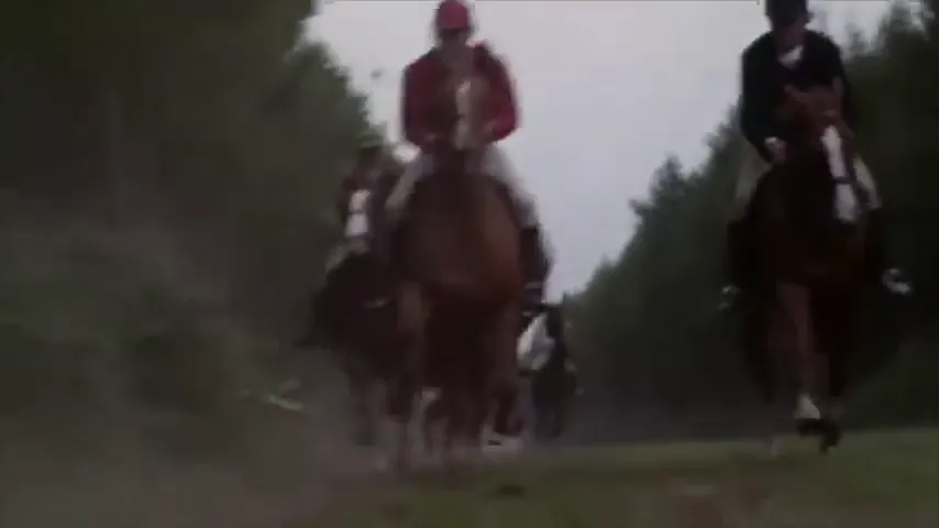 Black Beauty Scene 5