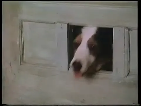 A Simple Twist of Fate Scene 4