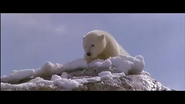 Alaska Scene 3