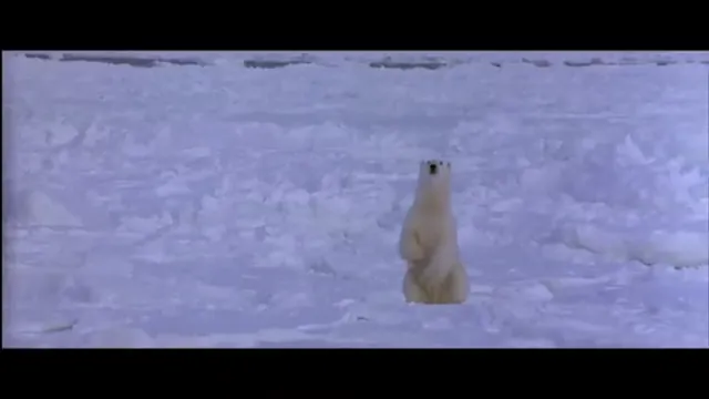 Alaska Scene 5