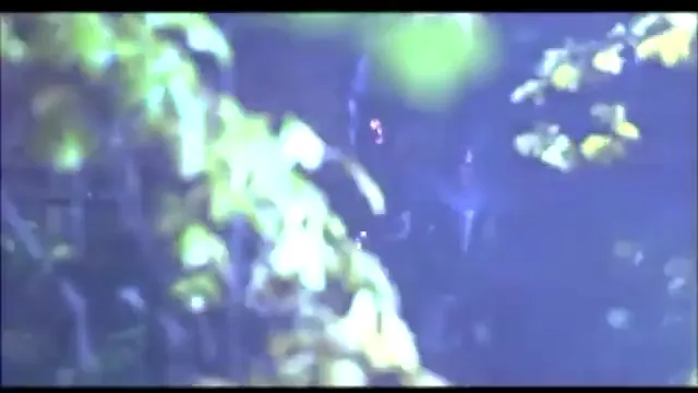 Snow White: A Tale of Terror Scene 1