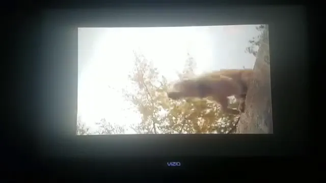 Madeline Scene 4