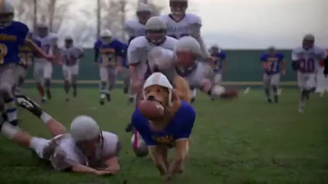 Air Bud: Golden Receiver Scene 5