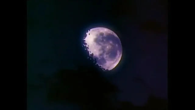 Bats Scene 3