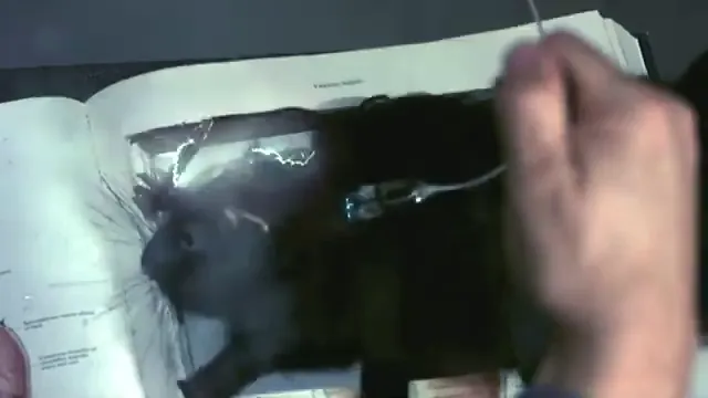 Beyond Re-Animator Scene 3