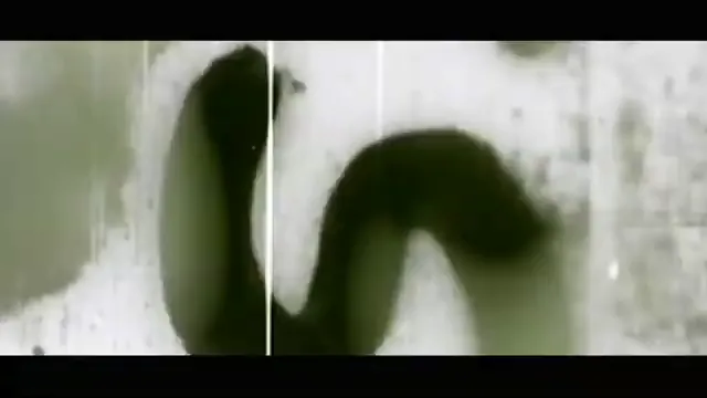 Lost in La Mancha Scene 5