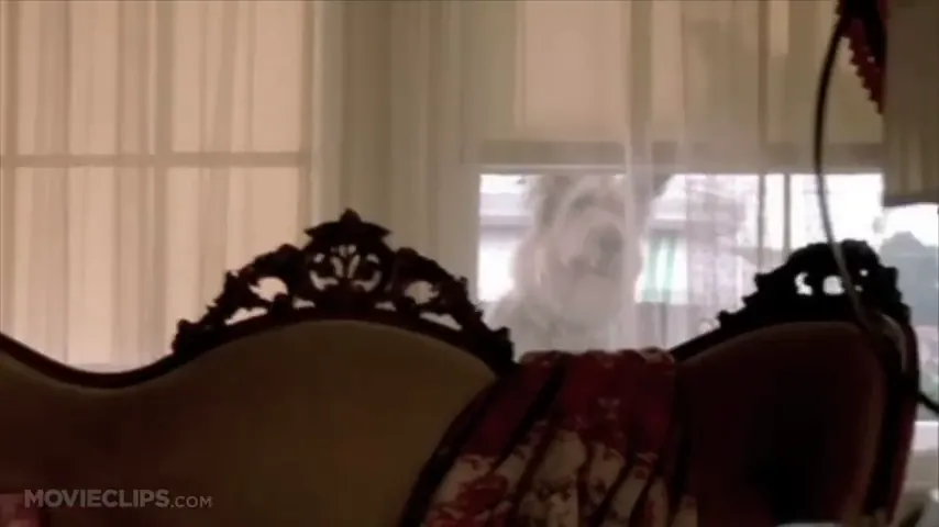 Because of Winn-Dixie Scene 3