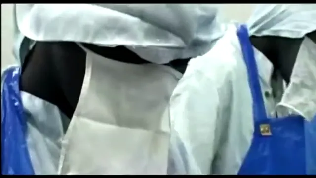 Darwin's Nightmare Scene 2