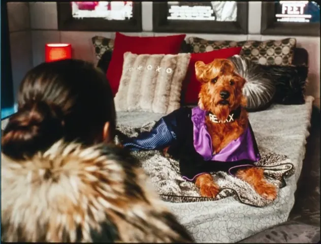 Firehouse Dog Scene 1