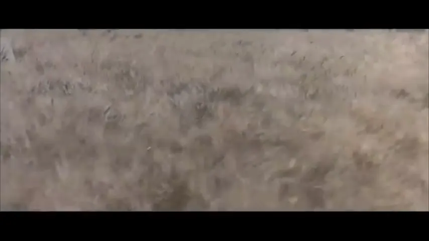 The Nativity Story Scene 1