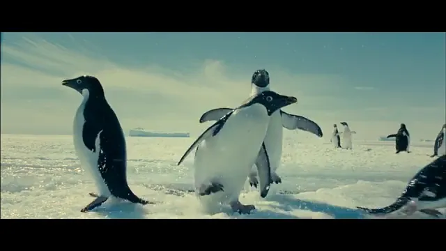 Oceans Scene 5