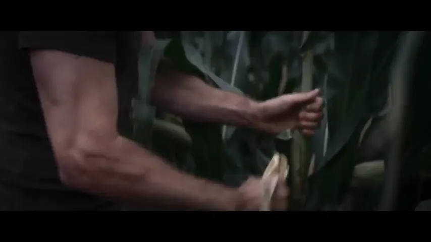 Escape the Field Scene 3