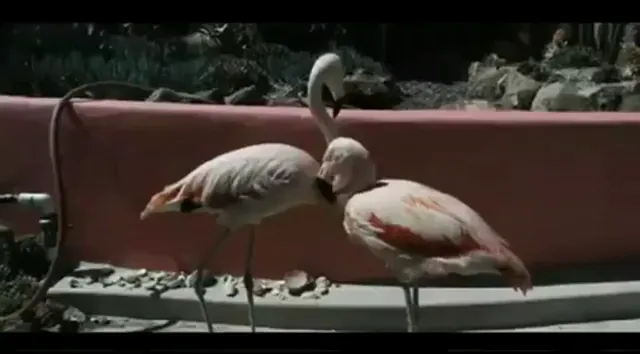 My Son, My Son, What Have Ye Done Scene 1