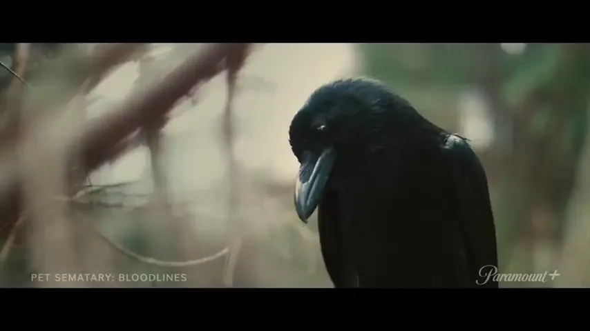 Pet Sematary: Bloodlines Scene 3