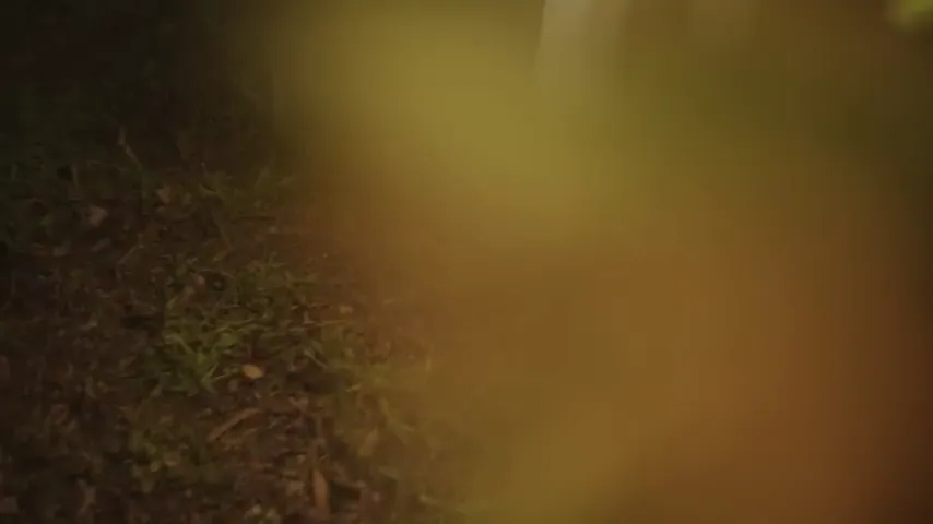 Soft & Quiet Scene 5