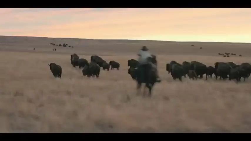 Butcher's Crossing Scene 5