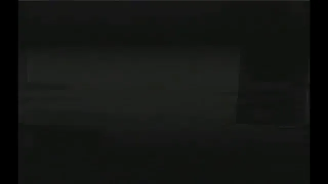 Trash Humpers Scene 1