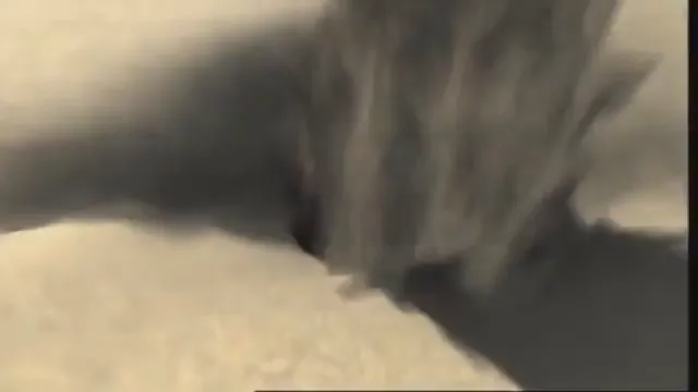 Sand Sharks Scene 2