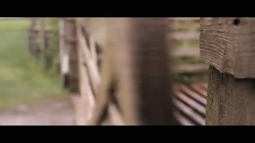 In Fear Scene 1