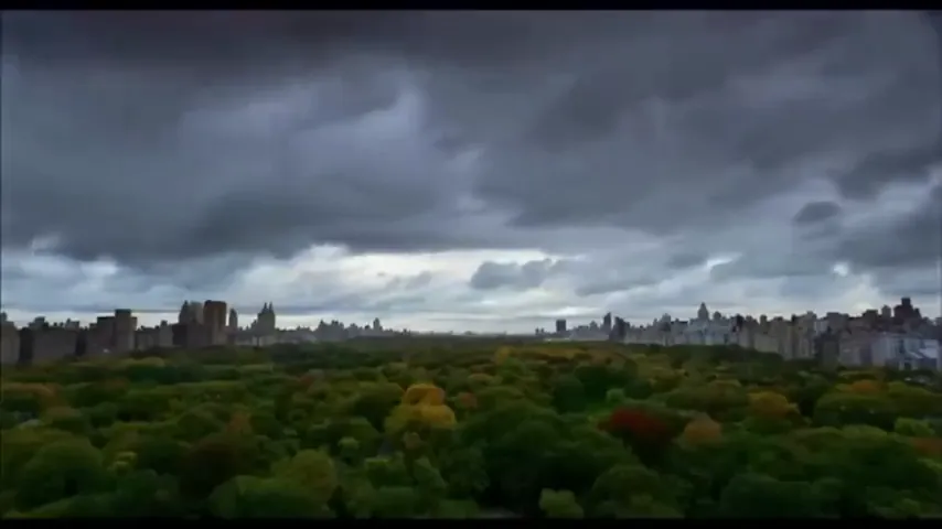 The Central Park Five Scene 2