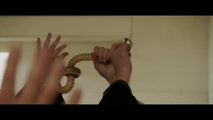 The Duel Scene 3