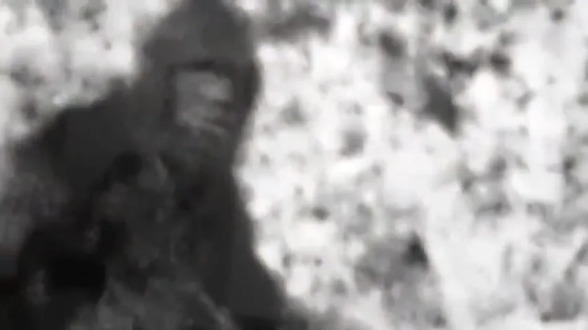 Willow Creek Scene 2