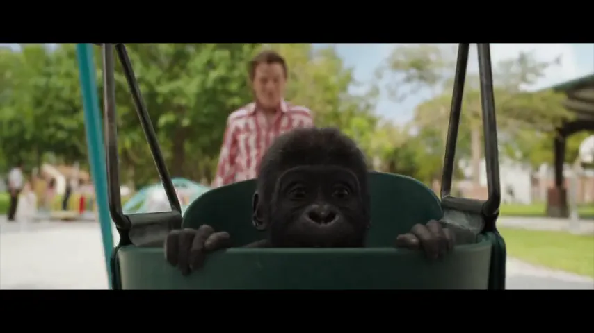 The One and Only Ivan Scene 1