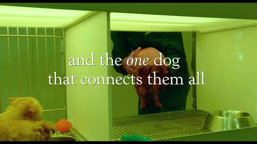 Wiener-Dog Scene 2
