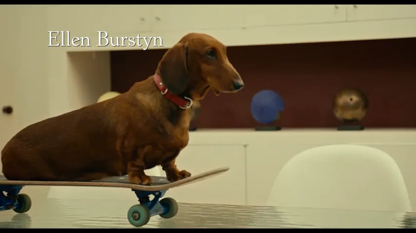 Wiener-Dog Scene 4