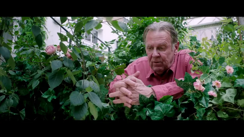 This Beautiful Fantastic Scene 2