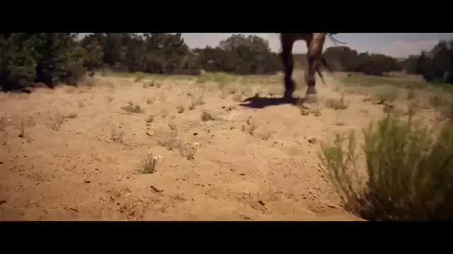 The Comeback Trail Scene 3