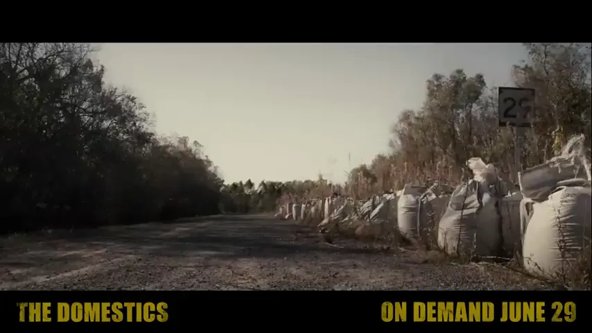 The Domestics Scene 1