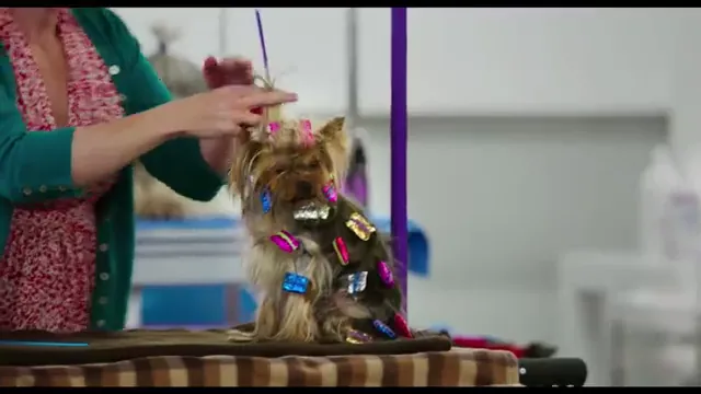 Show Dogs Scene 2