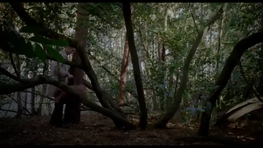 Possum Scene 2